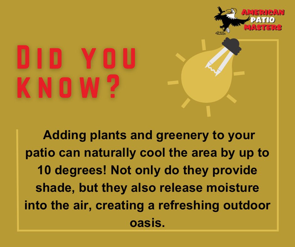 MastersPatio's tweet photo. Transform your patio into a cool, green oasis with the perfect blend of shade and style! 🌿✨ Embrace the power of plants and enjoy a refreshing outdoor retreat all summer long. 🌞💚

#PatioVibes #OutdoorLiving #GreenOasis #StayCool #PatioPerks #HomeImprovement https://t.co/97AfyuKYz7