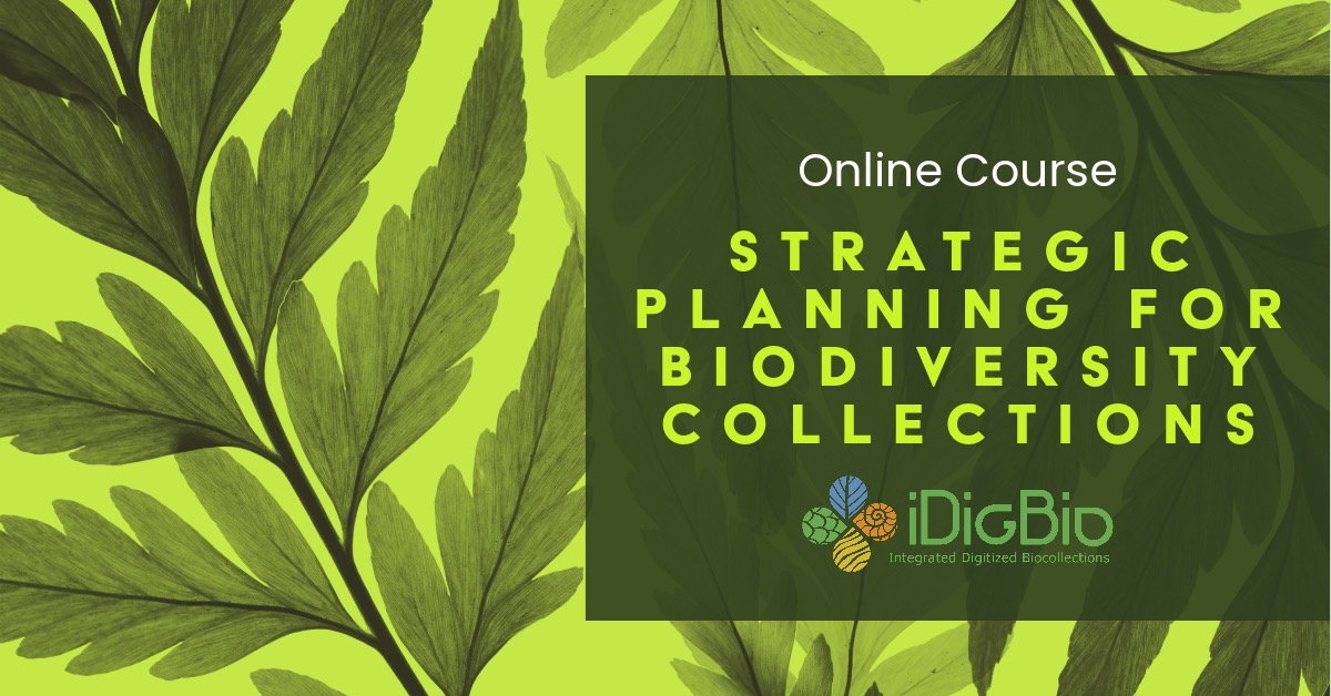 iDigBio tweet media