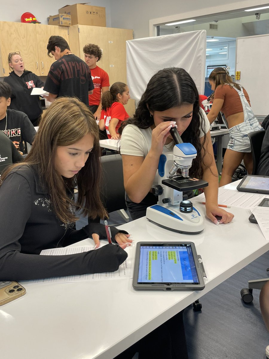 Toby Klein tweet media