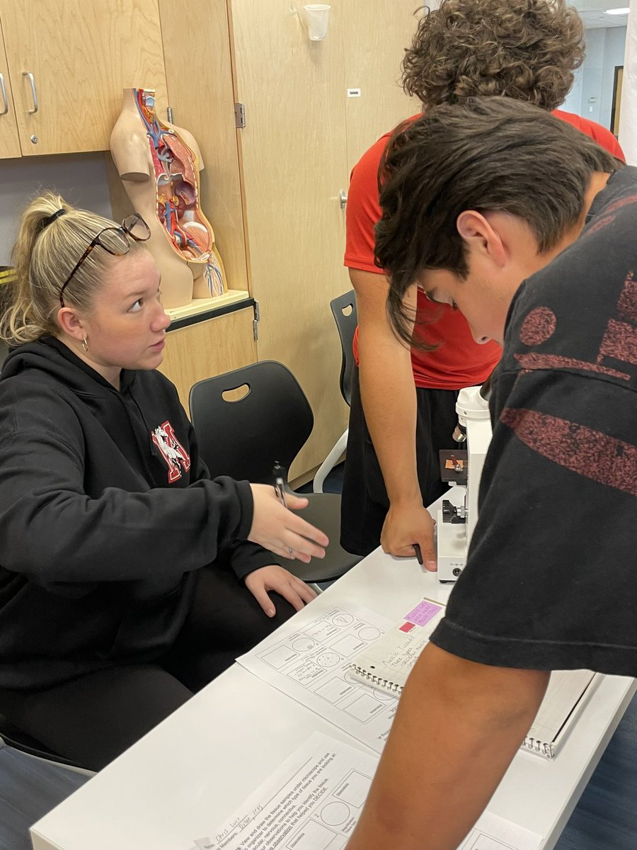 Toby Klein tweet media