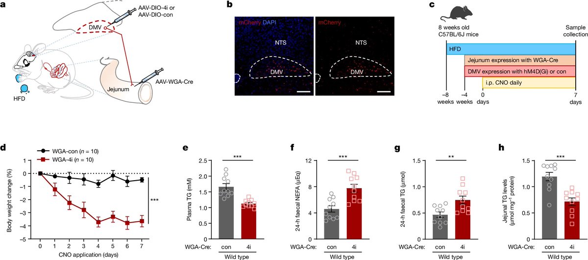 BryanRoth tweet media