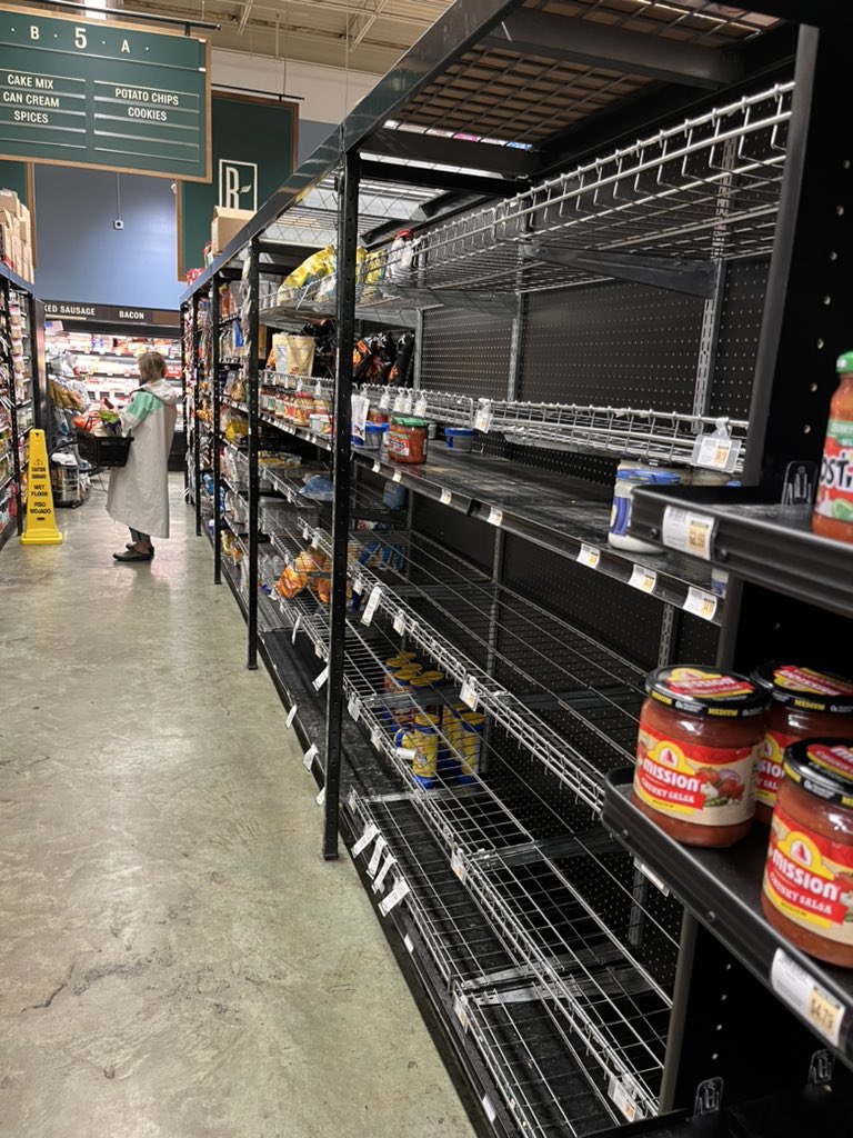 Dr. Sunshine Van Bael tweet media