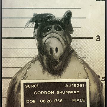 Cat eating illegal alien apprehended. #Debate2024