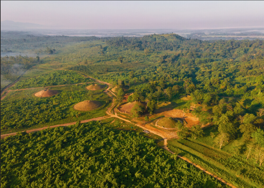 MAHSA Project tweet media