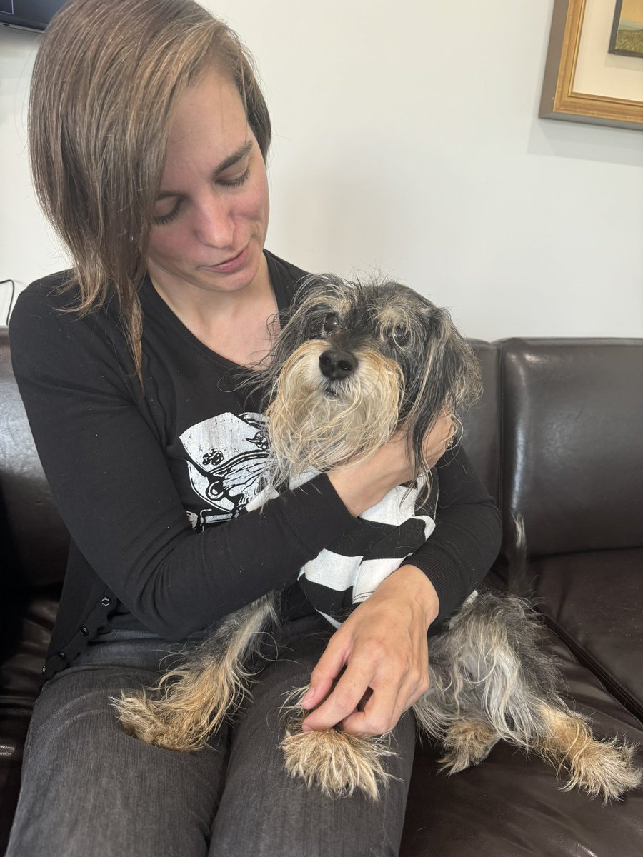 Kyla Lee tweet media