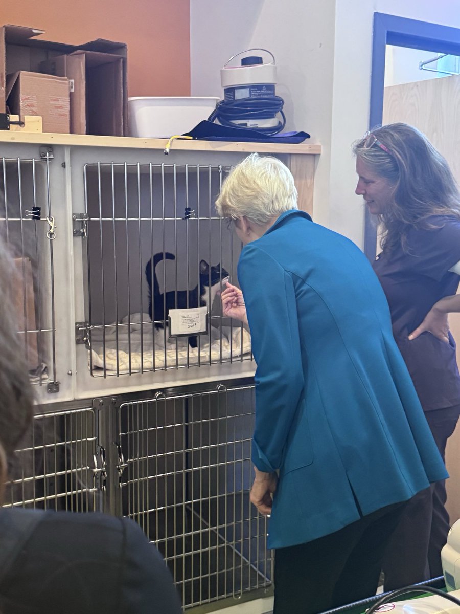 SenWarren's tweet photo. We all love our pets and would do anything for them. But private equity is taking advantage of that love - charging pet owners an arm and a leg for shoddy care.

I talked to vets (and pets!) about the problems of private equity in veterinary care. We've got to stop these guys. https://t.co/ou7da1Yym9