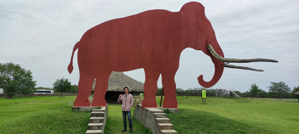 Sebasceratopsrex tweet media