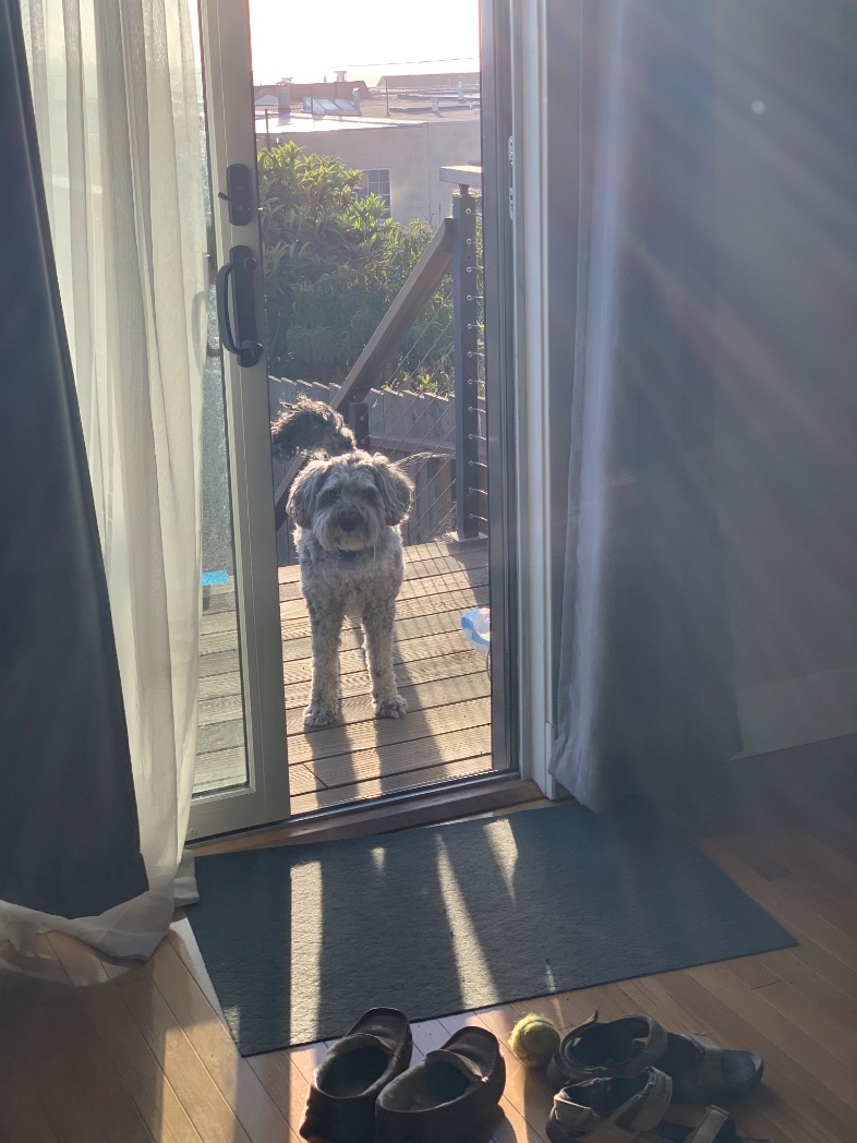 Tim Monks (@itsmonktastic) on Twitter photo 