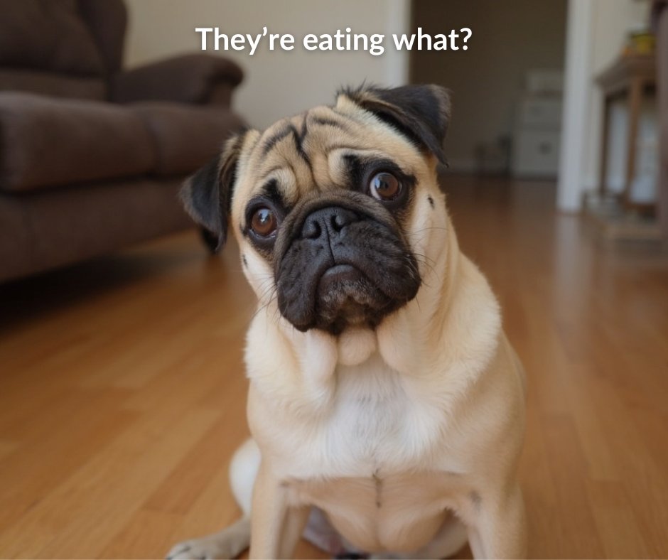 Any change in pet insurance premiums today <a href="/Trupanion/">Trupanion</a> ? Here there's something going on down south.