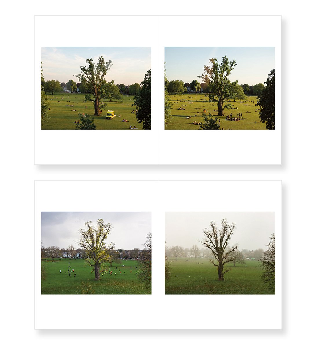 Out now to pre-order! 🔥 

'Rye Poplar' by Sam Bush.

Limited edition of 100 copies, just £8 here while stocks last - anotherplacepress.bigcartel.com/product/rye-po…