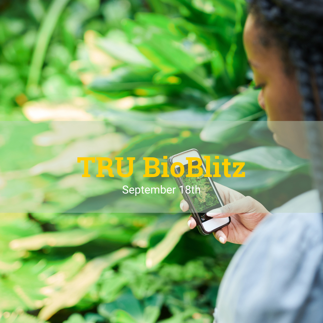 This is your chance to get involved in a fun, hands-on experience where we work together to help audit the biodiversity on campus.

🕣 When: 8:30 AM - 3:00 PM
📍 Where: Campus Commons 

Come for an hour or stay for the whole day! 

More info: tru.ca/sustainability…