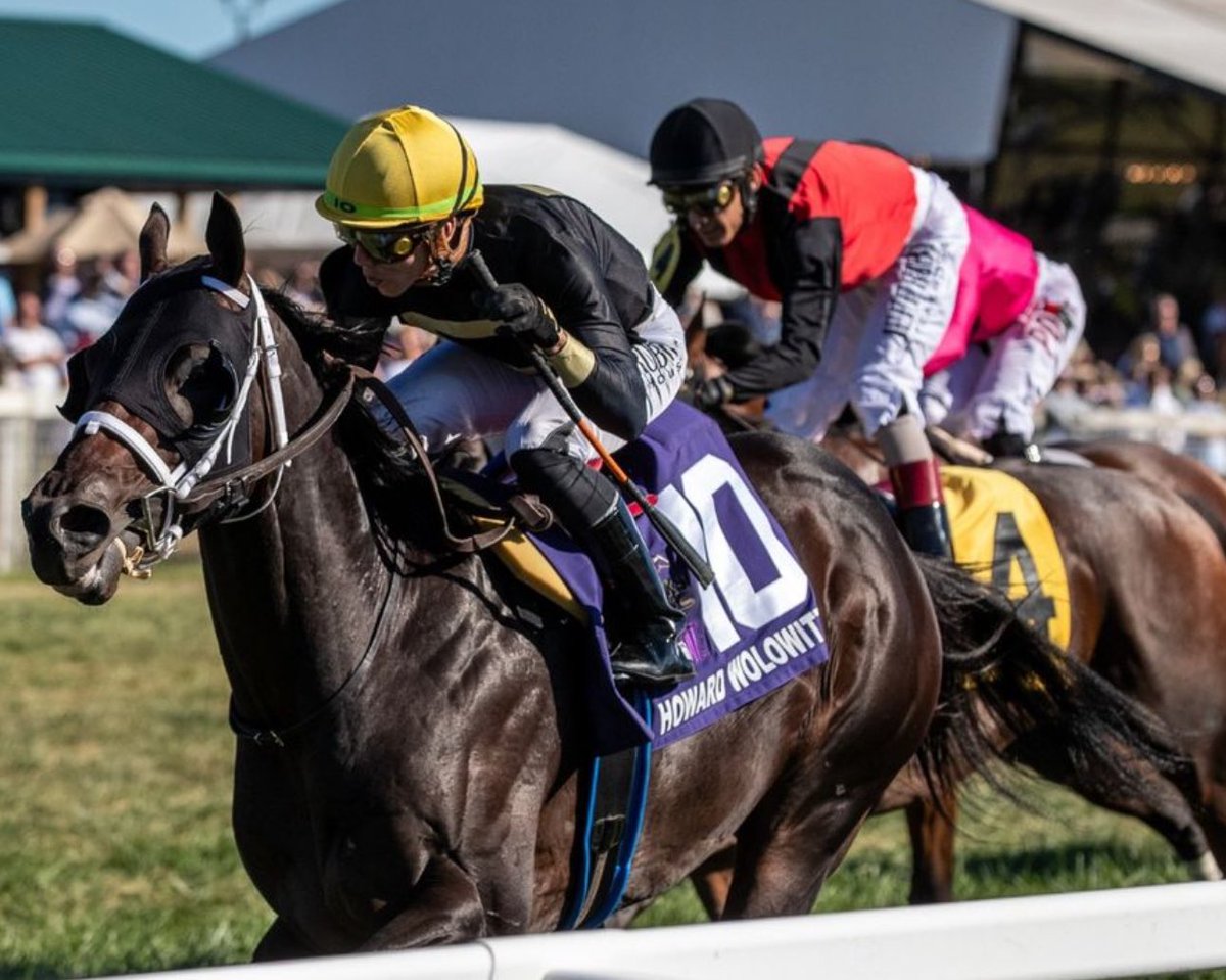 StakesWinners's tweet photo. 🏆 HOWARD WOLOWITZ
(Irad Ortiz Jr. - Jose F. D’Angelo)
ARISTOCRAT FRANKLIN-SIMPSON STAKES 2024 ($2,000,000) Kentucky Downs @KYDownsRacing @iradortiz @JFDAngelo @KYbreds @BreedersCup @SteveRushing63 
📷 @KYDownsRacing https://t.co/L1gCwp1UrU