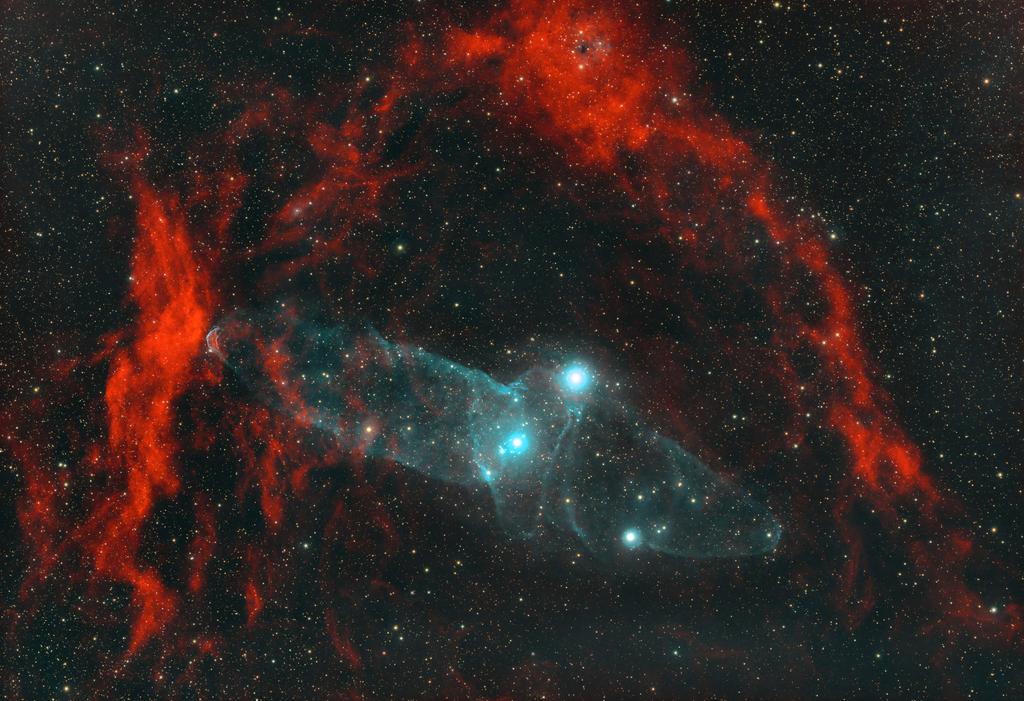 Sh2-129, Ou4.Nebulosa del Murciélago y Nebulosa del Calamar. Situadas en la constelación de Cefeo. Son 29h40' de integración en tomas de 600" en 6 noches entre junio y agosto. equipo:
🔭 Ts-optics 80/480 triplete Apo
📷Zwo 294mc
🔘Optolong L-extreme 
🔭 Eq6-r pro
💻Pixinsight