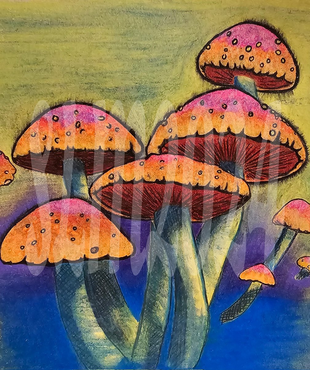 Did some mushrooms yesterday.