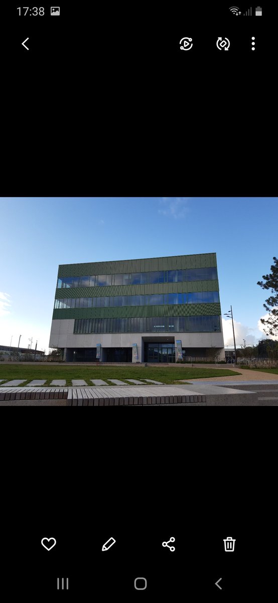 Zoë Miller📚📚📚 tweet media