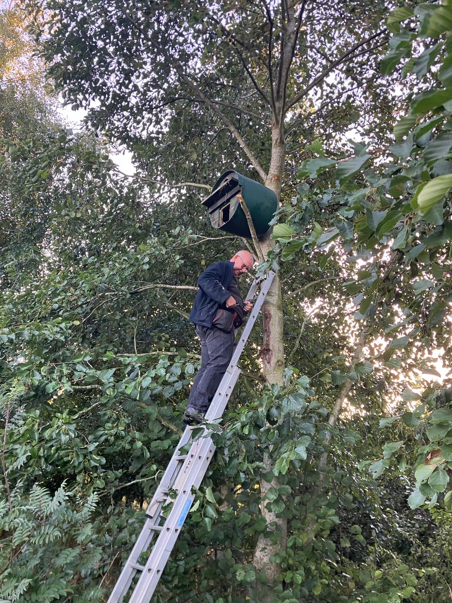 Paul Riddle tweet media