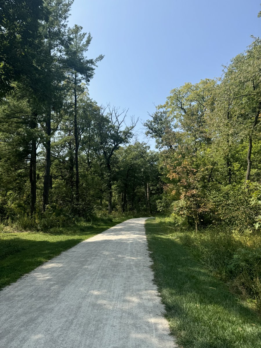 MzFrancesFX's tweet image. Adjusting and refocusing. Back to it. #TheSimpleThings #NatureGirl 💜 🌿☀️