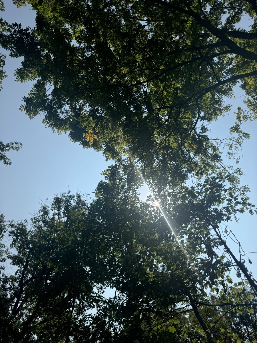 MzFrancesFX's tweet image. Adjusting and refocusing. Back to it. #TheSimpleThings #NatureGirl 💜 🌿☀️