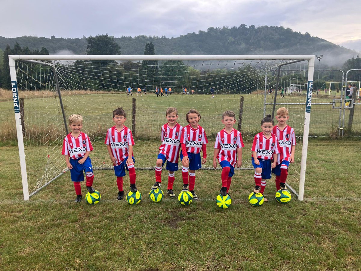 Dorking Wanderers Academy tweet media