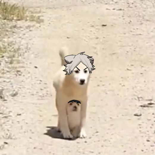 츠토무는 우리 팀의 유일한 1학년 개귤러라고 얕보지 마 
.oO(세미씨꽉껴여)