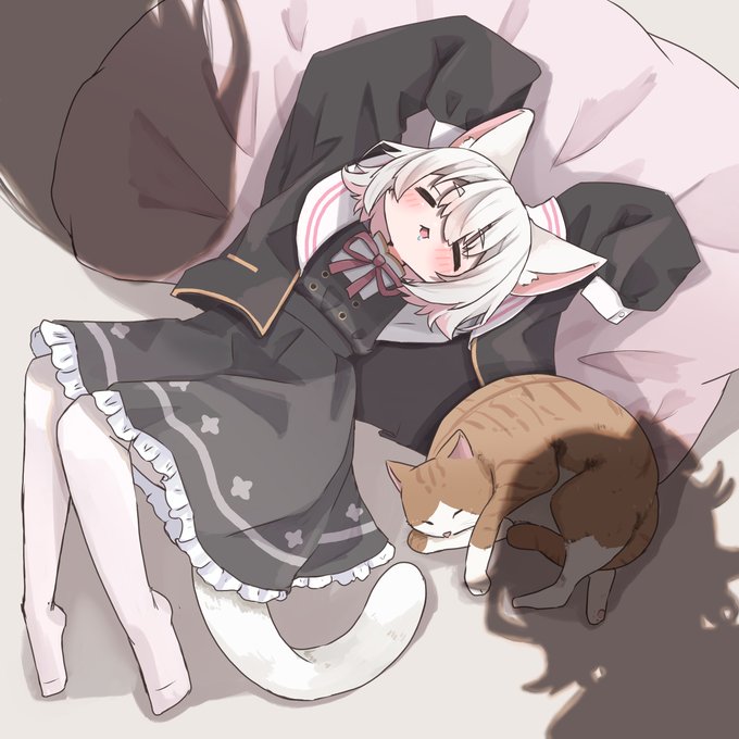 フォロワー様3400人ありがとうございます!
小夜100人なので、猫と寝てるさよちの感謝絵です 