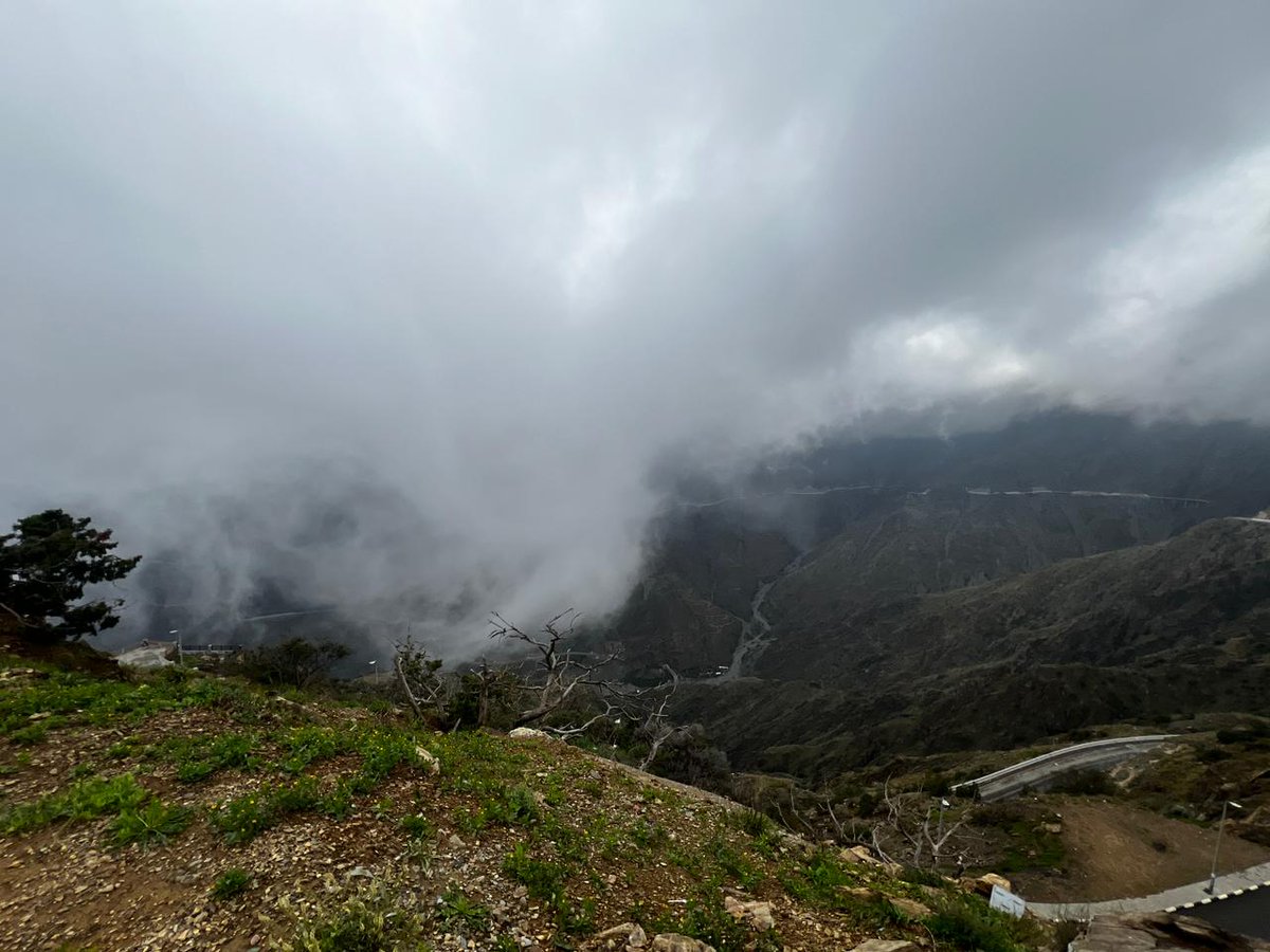 طيف الغامدي tweet media