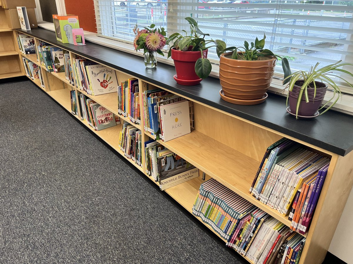 Shaunna MacDonald tweet media