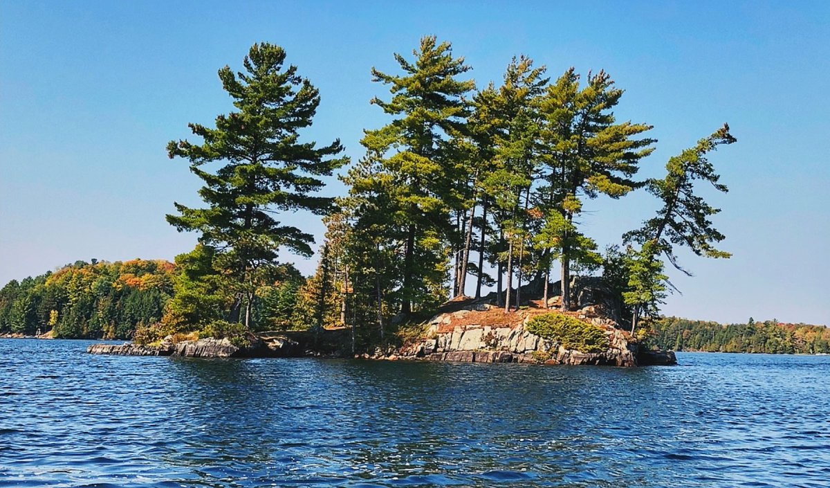 Find your favourite places 🌿