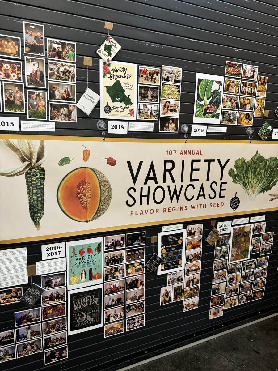 Featuring our table display at the 2024 Variety Showcase! We shared our latest developments with the food value chain community, including ‘Erisman’ from our breeding program, delicious galettes made from its flour, and the new value-added breeding lines from my project.
