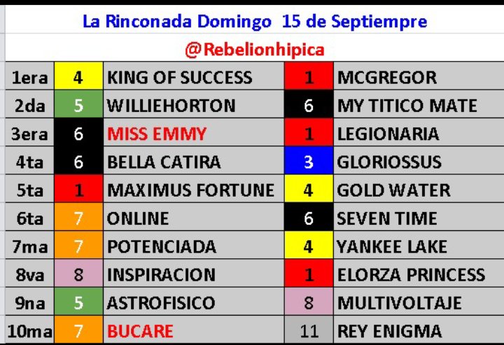 Nuestras marcas la Rinconada