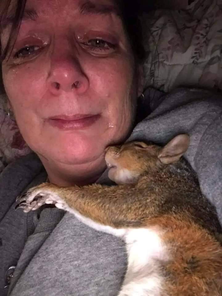 Squirrel Lover World tweet media