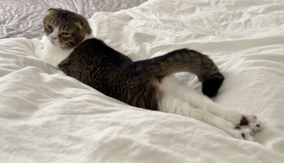 おはようございます！