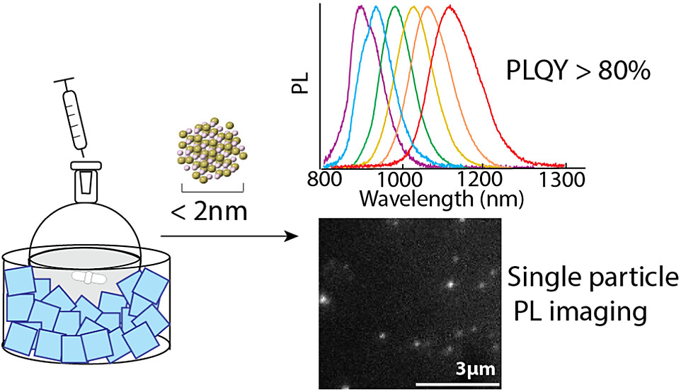 Ultrasmall HgTe Quantum Dots with Near-Unity Photoluminescent Quantum Yields in the Near and Shortwave Infrared

By @jrcaram et al. <a href="/UCLA/">UCLA</a>

Read the paper 👉 go.acs.org/aOe
