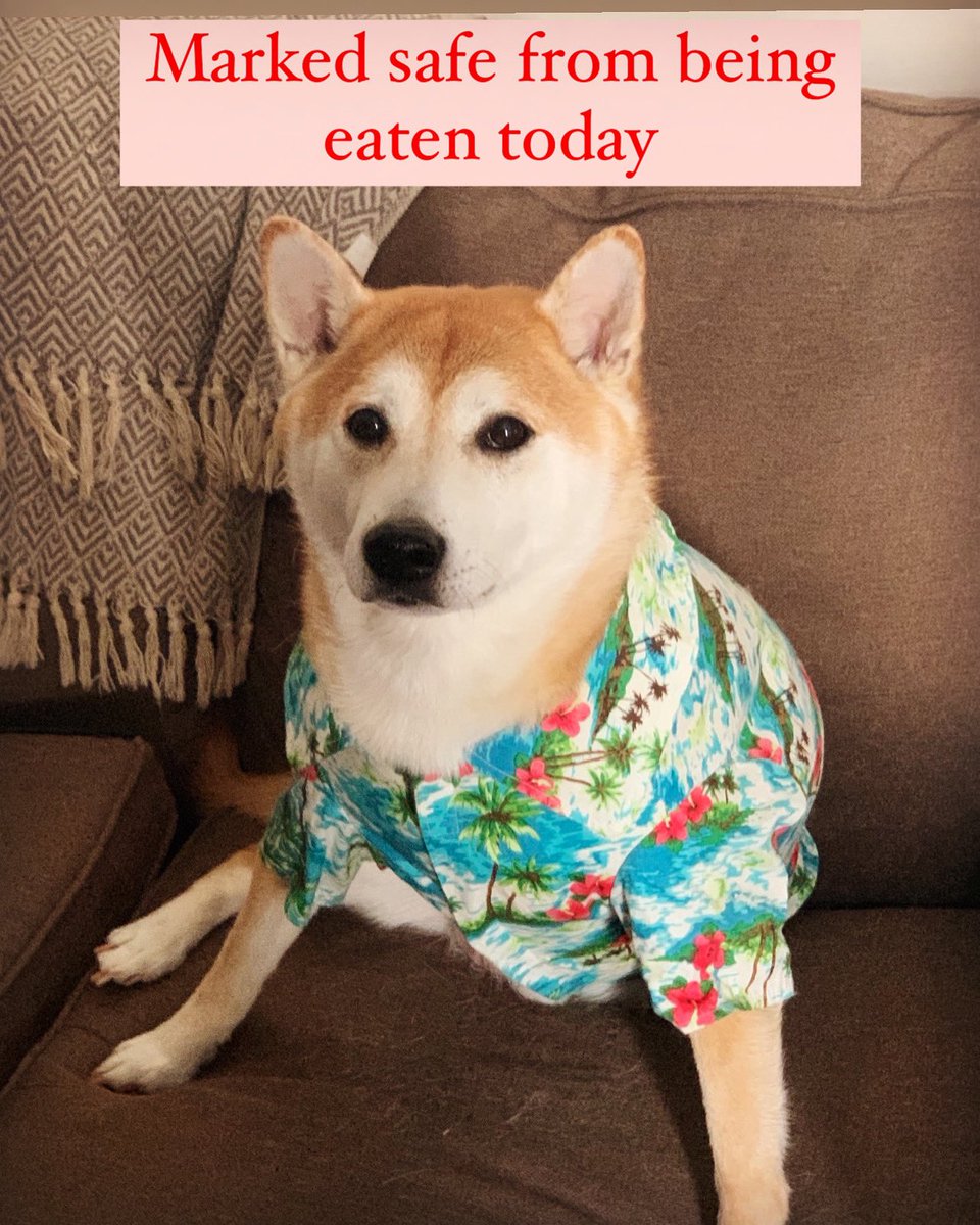 Eric Burnett, MD (@doctor_eric_b) on Twitter photo 