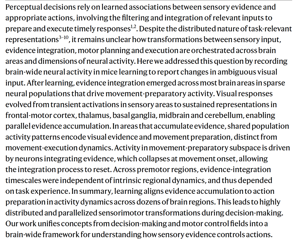 WiringTheBrain's tweet photo. Brain-wide dynamics linking sensation to action during decision-making https://t.co/Pq7YGa1Bfi - incredible study recording 15k neurons over 52 brain regions while mice accumulated evidence towards a choice https://t.co/4ARcNxF3fH