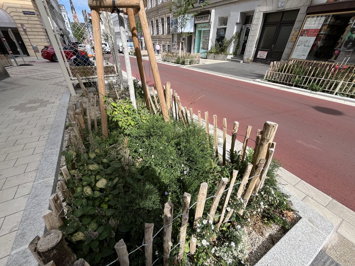 Bin gerade in #Wien auf Tour, und finde es peinlich, wie betreten meine Gesprächspartner reagieren, wenn ich über die peinliche, ideologische Verkehrspolitik daheim berichte. Im Vergleich zu Wien lebt #Berlin in der Steinzeit. ⁦<a href="/BUND_Berlin/">BUND Berlin</a>⁩ ⁦<a href="/CCitiesOrg/">Changing Cities e.V.</a>⁩