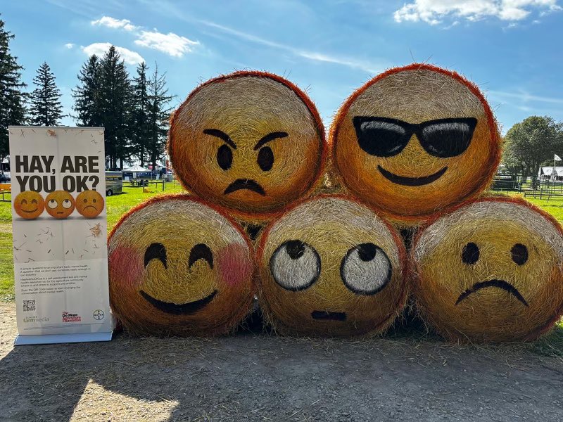 domoreag's tweet photo. Hey #ontag! Are you attending the @outdoorfarmshow? Make sure to stop by the https://t.co/nsKQ5nL7Jr booth and grab a photo with the emojis!

@Bayer4CropsCA
#COFS24 #CanadasOutdoorFarmShow #CanadasOutdoorFarmShow2024 https://t.co/RGN0w9kqT6