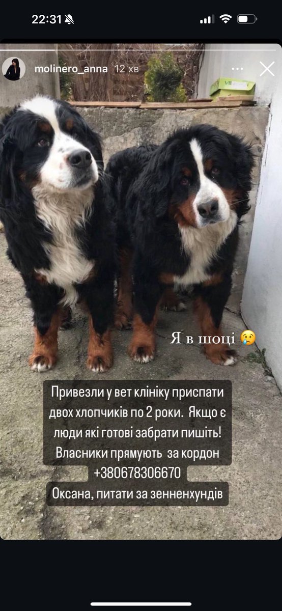 Люди просто кончені. Заберіть 😔😔