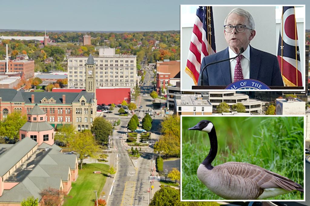 FedSlayer's tweet image. Springfield, Ohio, man reported Haitian migrants snatching geese out of park just 2 weeks ago: &quot;I see a group of Haitian people, there was about four of them, they all had geese in their hand,&quot; the caller told a 911 dispatcher. dlvr.it/TD6n5D #BreakingNews