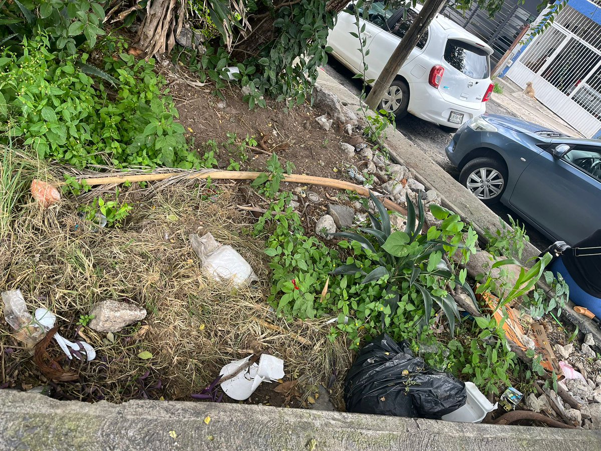 ferrefferrefer's tweet photo. Esto fuera del jardín de niño Luz María Serradel N 406
Colonia loma dorada cruces río Nilo y R.loma ote.
¿A DONDE LO REPORTO ? @gobierno_tonala @TraficoZMG_ https://t.co/Vlz5CiH1Hx