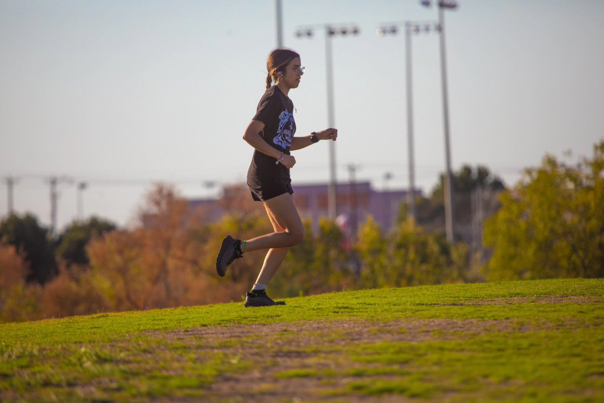 UTPB Athletics tweet media