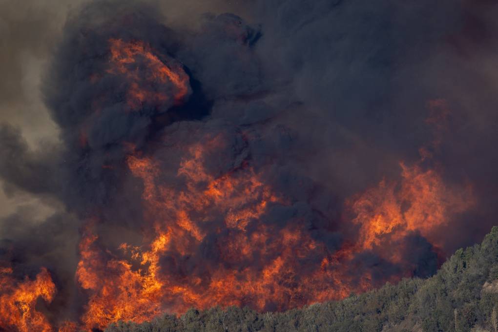 California Report tweet media