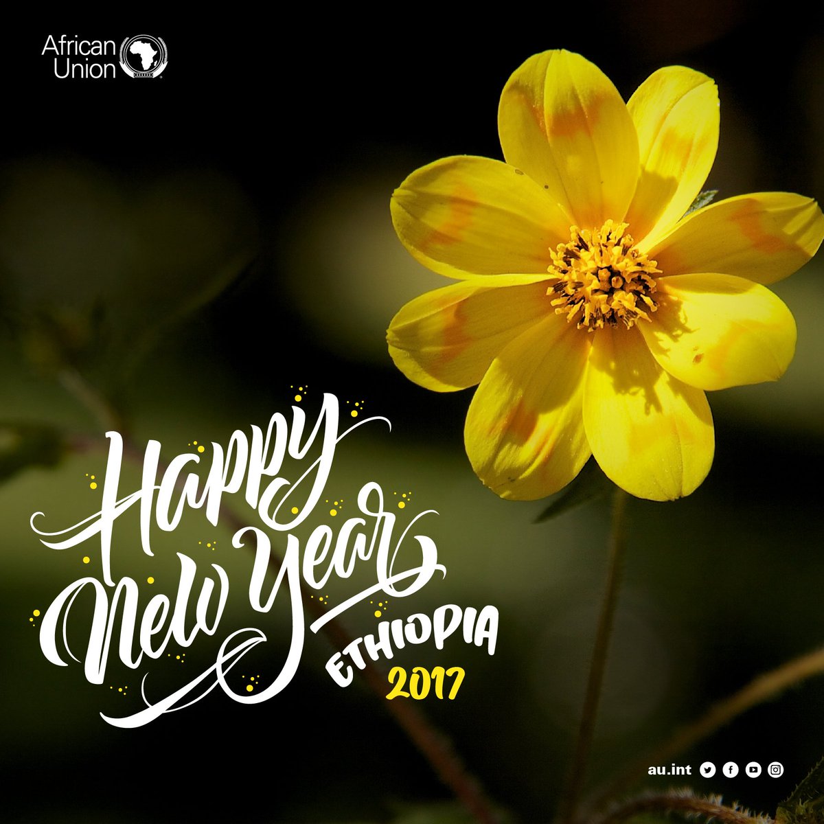 GIBSON KILLETA (@gibsonkilleta) on Twitter photo 