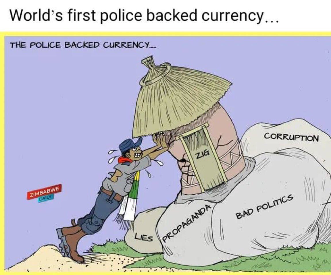 ZiG rapinda bhizi 😂😂😂