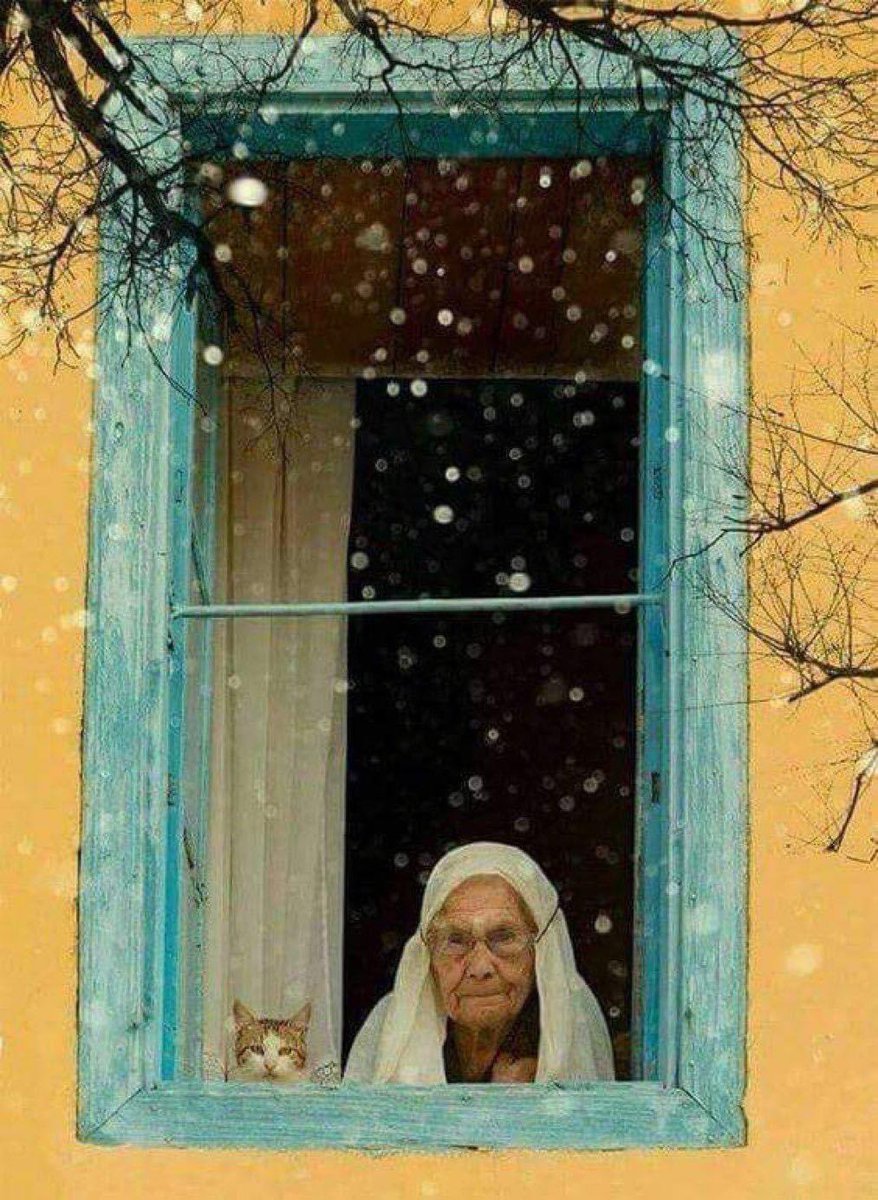 " ذلك الذي أخترع النافذة 
لم يكُن يخاف من الظلام 
بل كان يبحثُ عن شيئ
يبقيه على قيد .. الإنتظار .."