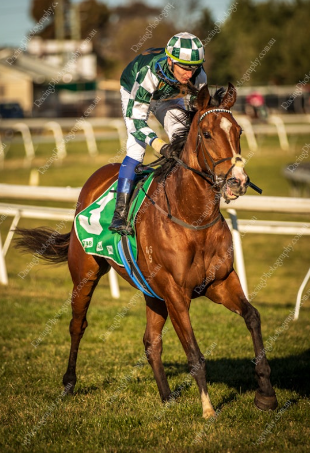 AttungaRacing's tweet image. I've had so much enjoyment being involved with #CommandoJack can't wait to get into another one with The Major Of #Mudgee David J Smith #WestIsBest