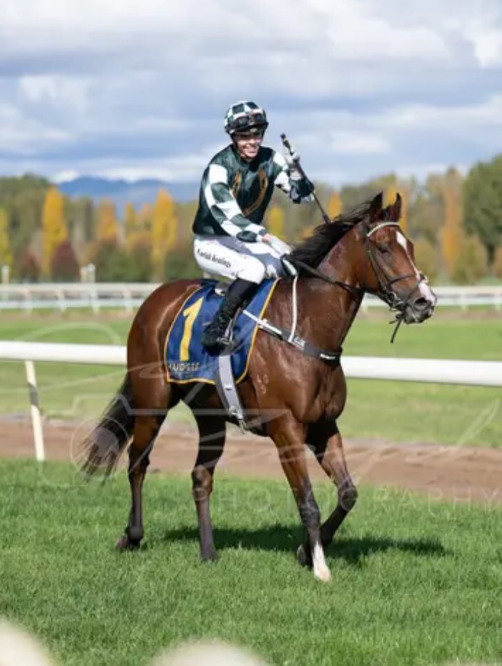 AttungaRacing's tweet image. I've had so much enjoyment being involved with #CommandoJack can't wait to get into another one with The Major Of #Mudgee David J Smith #WestIsBest