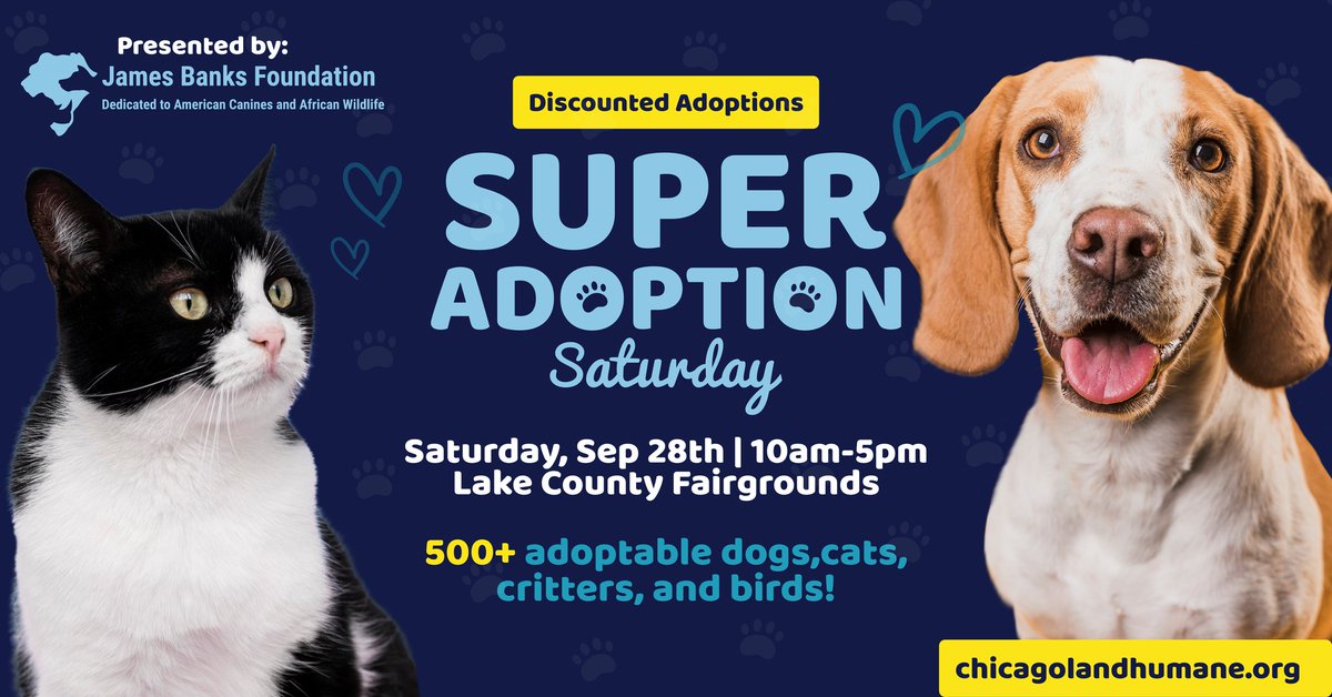 Join us at the Lake County Fairgrounds in Grayslake, Illinois, on Saturday, September 28, from 10am-5pm for Super Adoption Saturday for the largest adoption event of the year! More information: chicagolandhumane.org/super-adoption…