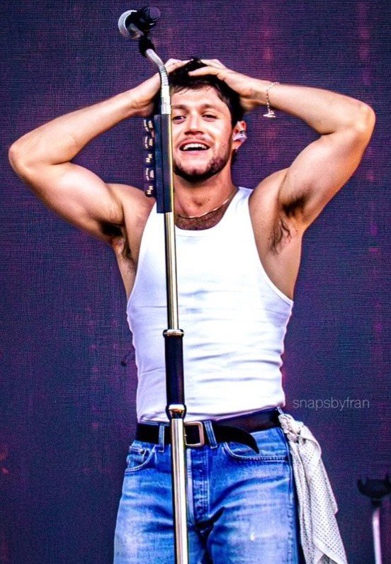 sammy1714's tweet photo. If you went back in time and told teenage me that niall horan is still hot, still talented, and still successful, I would absolutely believe you (some of us just knew) https://t.co/O6OdxcwBa9