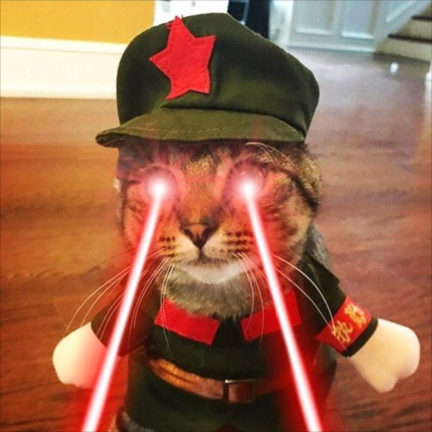 The vision for $CMEOW is clear, and it's looking incredibly bright. 👀🔆😎